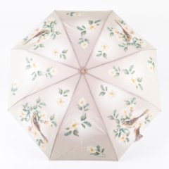 637696 Зонт женский,3 сл.,полный автомат, ручка пласт. прямая (Мультиколор/8-58/эпонж/Goroshek)