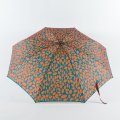 RW-45516 Зонт женский, 5 сл, механика (полиэстер/Jonas Hanway)